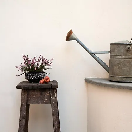Appartement Pietrapiana Boutique